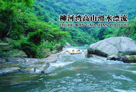 燃烧吧大脑装瓶子游戏